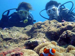 沖縄ダイビング☆８・２１　サンゴコース体験ダイビング　８時　なすび