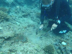 OLYMPUS DIGITAL CAMERA